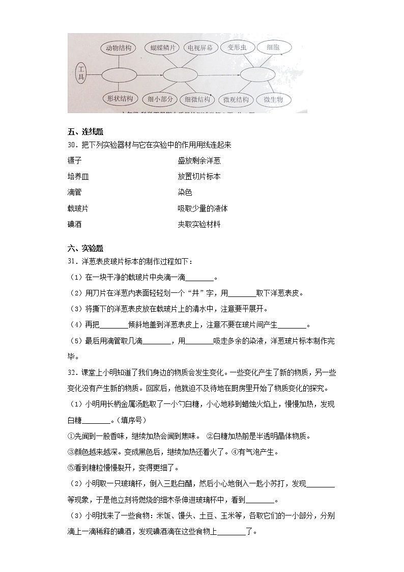 2020-2021学年浙江省温州市教科版六年级下册期中测试科学试卷（word版 含答案）03