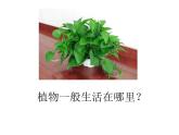 1.2土壤—动植物的乐园课件+素材+教案