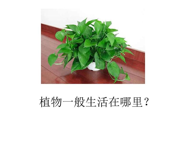 1.2土壤—动植物的乐园课件+素材+教案02