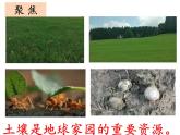 1.2土壤—动植物的乐园课件+素材+教案