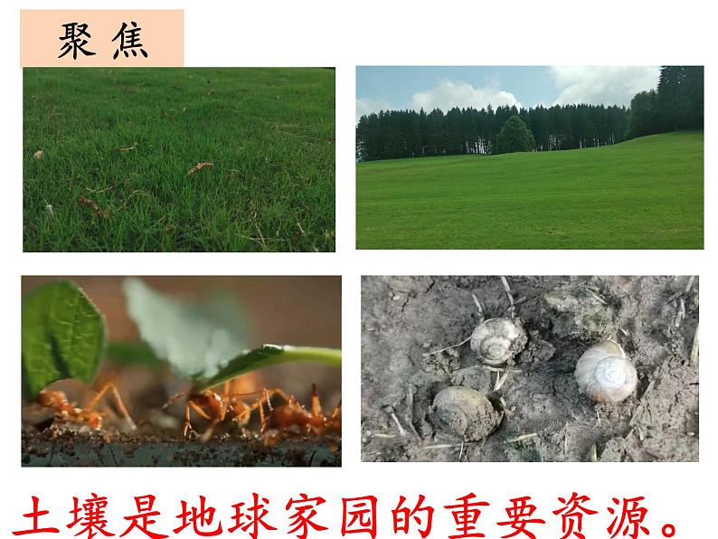 1.2土壤—动植物的乐园课件+素材+教案03