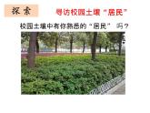 1.2土壤—动植物的乐园课件+素材+教案