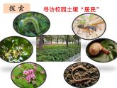 1.2土壤—动植物的乐园课件+素材+教案