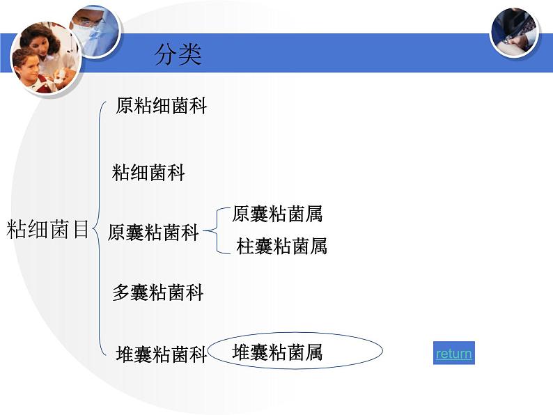 首师大版小学科学六年级下册课件 3微生物（20张PPT）04