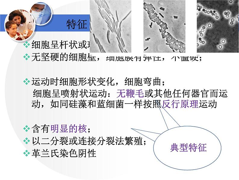 首师大版小学科学六年级下册课件 3微生物（20张PPT）05