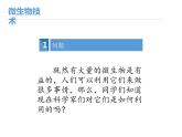 首师大版小学科学六年级下册课件 4微生物技术(共17张PPT)