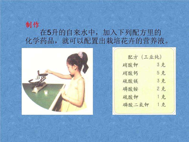 首师大版小学科学六年级下册课件 14无土栽培(共11张PPT)05