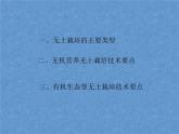 首师大版小学科学六年级下册课件 14无土栽培(共16张PPT)