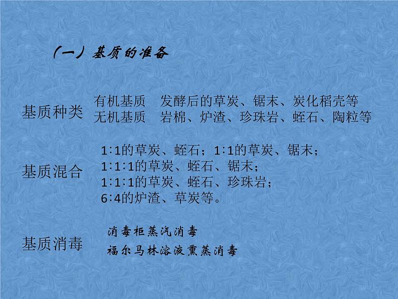 首师大版小学科学六年级下册课件 14无土栽培(共16张PPT)07