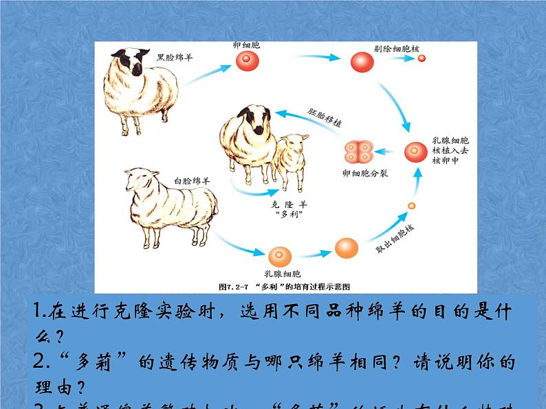 首师大版小学科学六年级下册课件 16克隆技术(共15张PPT)07