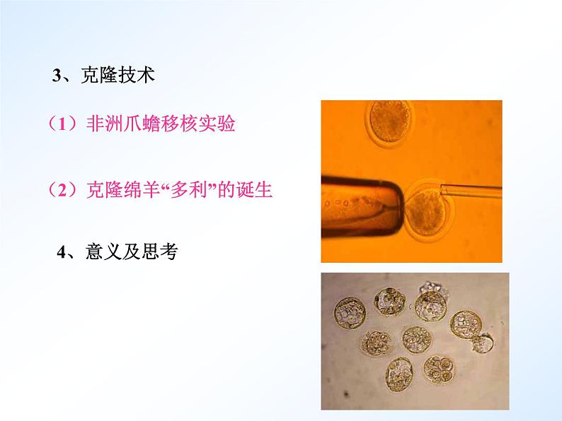 首师大版小学科学六年级下册课件 16克隆技术(共20张PPT)04