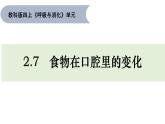 2.7 食物在口腔里的变化 课件
