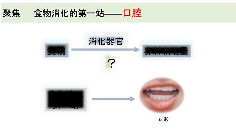 2.7 食物在口腔里的变化 课件02