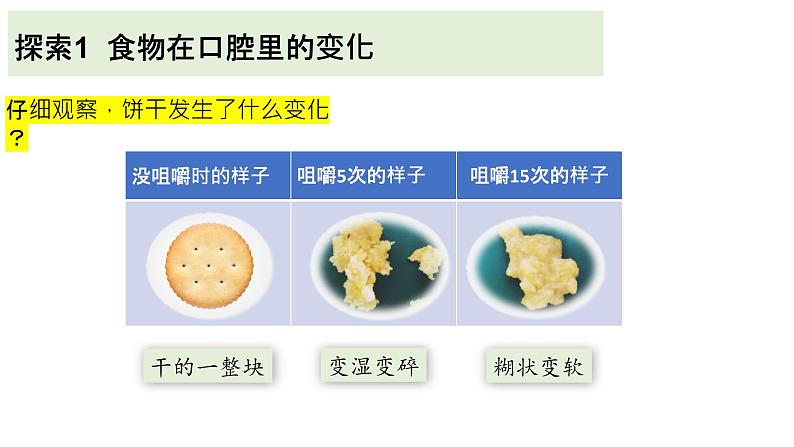 2.7 食物在口腔里的变化 课件06