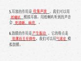 教科版四年级上册科学1.4我们是怎样听到声音的课时作业练习题（含答案）