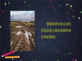 2.6 水的作用 课件+视频+教学设计+学习任务单+课后练习