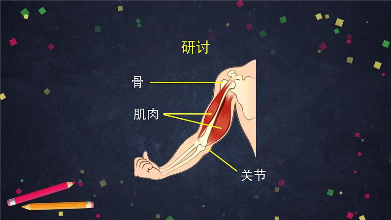 4.2 身体的运动 课件+教学设计+任务单+练习题05