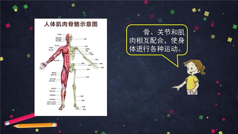 4.2 身体的运动 课件+教学设计+任务单+练习题07