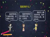 4.4 身體的“總指揮”課件+教案+任務(wù)單+練習(xí)
