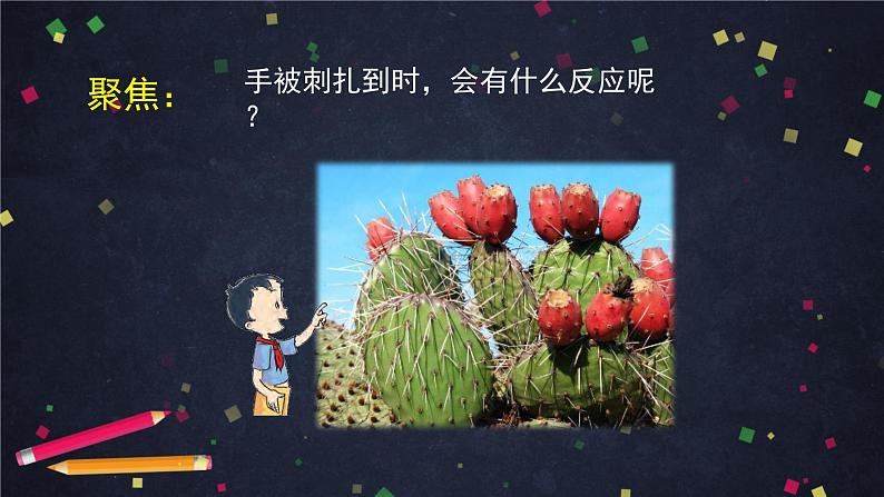 4.5 身体的“联络员“ 课件+教学设计+任务单+练习题02