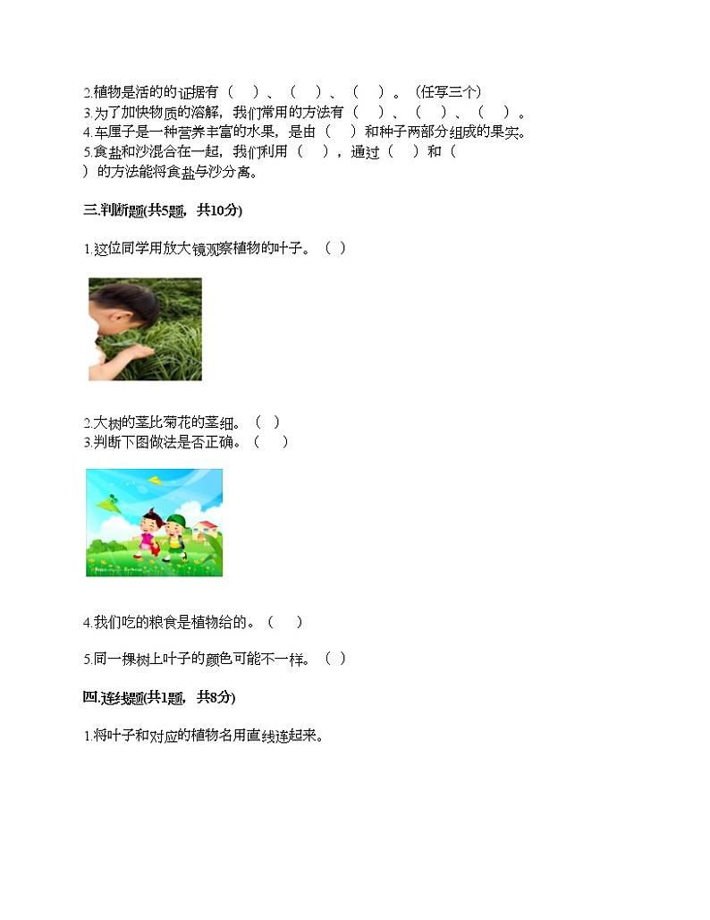 一年级上册科学试题-第一单元 植物 测试题-教科版（含答案）02