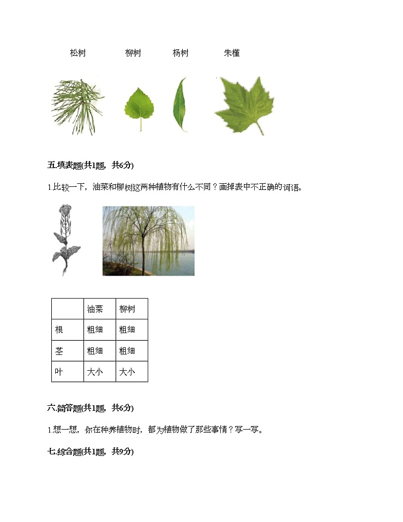 一年级上册科学试题-第一单元 植物 测试题-教科版（含答案）03