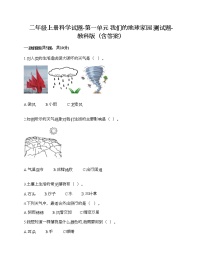 小学科学教科版 (2017)二年级上册我们的地球家园综合与测试精品达标测试