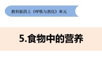 小学科学教科版 (2017)四年级上册呼吸与消化5.食物中的营养课堂教学课件ppt