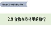 2.8 食物在身体里的旅行 课件