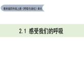 2.1 感受我们的呼吸 课件