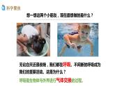 2.1 感受我们的呼吸 课件