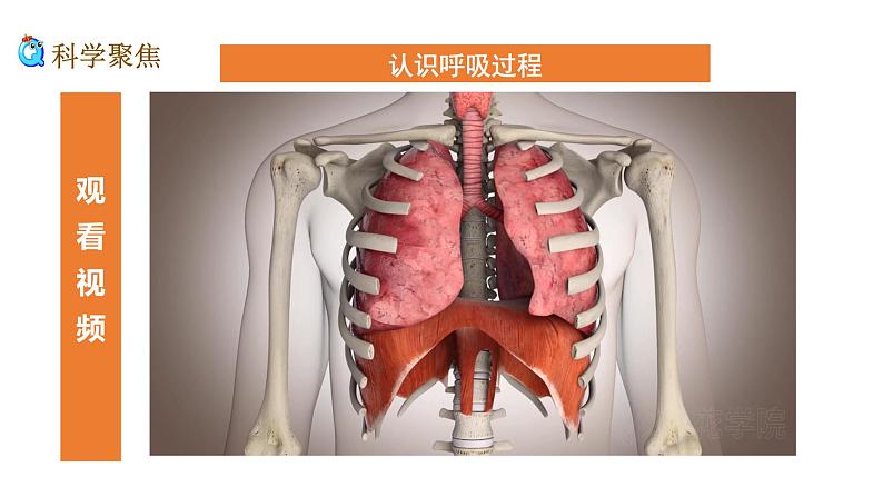 2.1 感受我们的呼吸 课件07