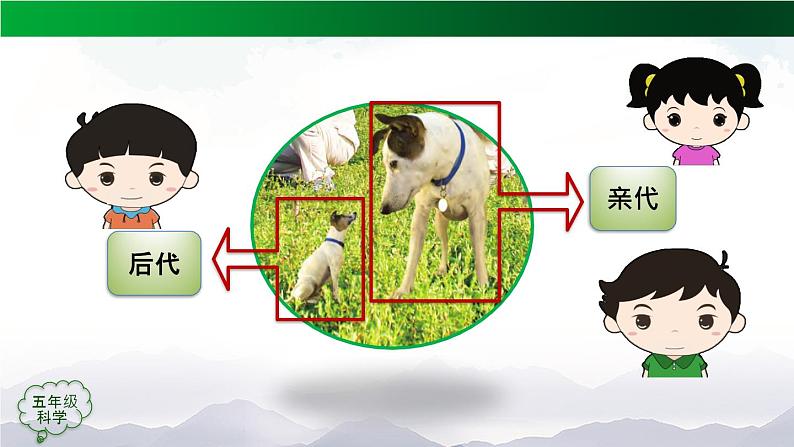 第二单元 后代与亲代 单元复习课件+教学设计04