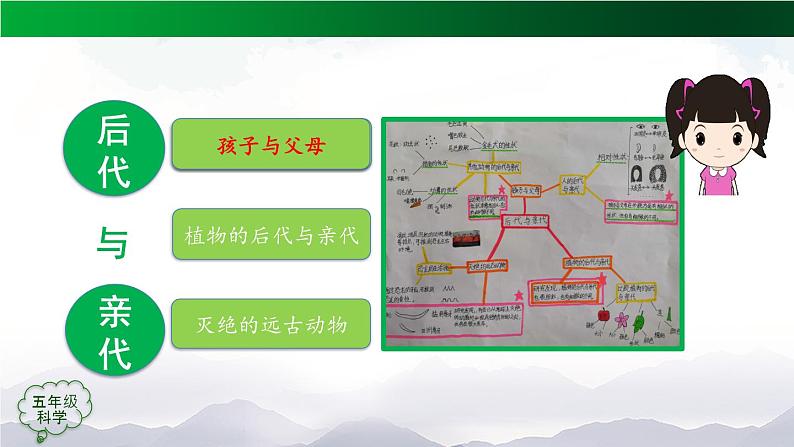 第二单元 后代与亲代 单元复习课件+教学设计06