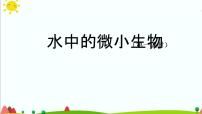 小学人教鄂教版 (2017)8 水中的微小生物教学ppt课件