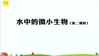 科学五年级上册8 水中的微小生物教学课件ppt