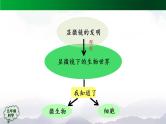 第三单元 显微镜下的生物世界 回顾 课件+视频