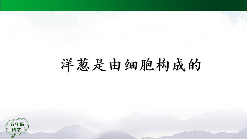 3.9 显微镜下的细胞 (第2课时) 课件+视频+教学设计+任务单+课后练习05