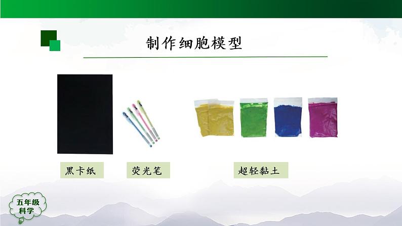 3.9 显微镜下的细胞 (第2课时) 课件+视频+教学设计+任务单+课后练习06