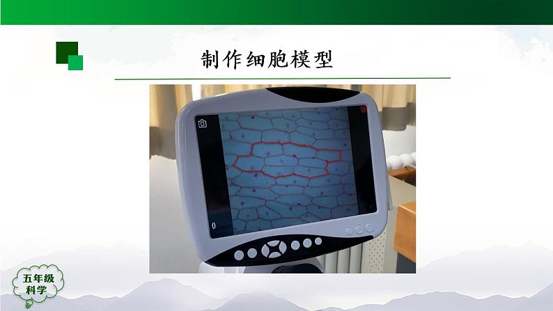 3.9 显微镜下的细胞 (第2课时) 课件+视频+教学设计+任务单+课后练习07