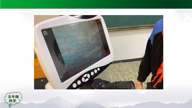 3.9 显微镜下的细胞 (第2课时) 课件+视频+教学设计+任务单+课后练习08