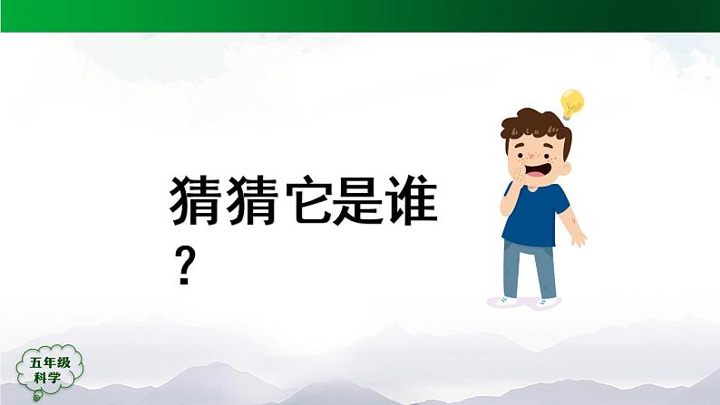 5.14 认识太阳能热水器（第1课时）课件+视频+教学设计+任务单+练习题02
