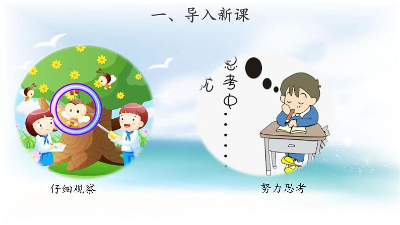 苏教版科学 3.8 暗箱里的秘密 课件PPT+教案02