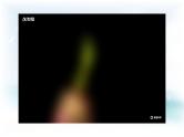 苏教版科学 3.9 树叶变黄了 课件PPT+教案+视频