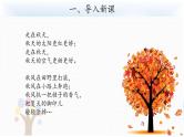 苏教版科学 3.9 树叶变黄了 课件PPT+教案+视频