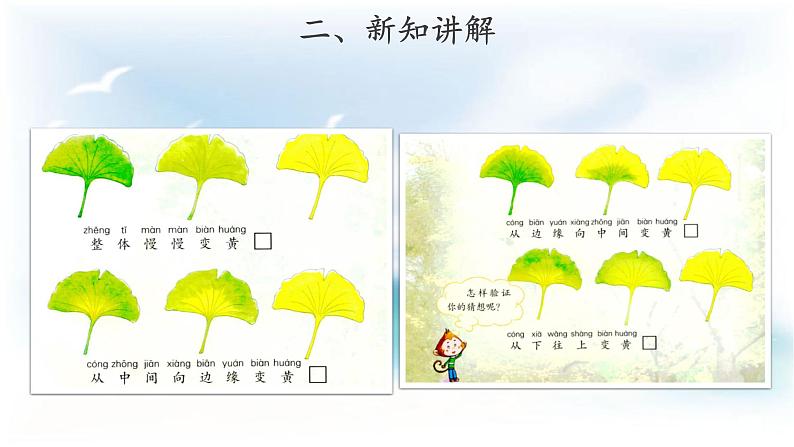 苏教版科学 3.9 树叶变黄了 课件PPT+教案+视频07