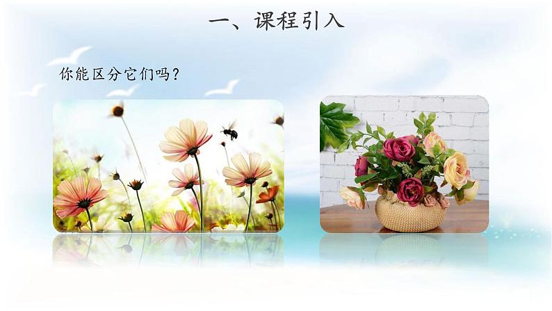 苏教版科学 4.10 自然世界和人工世界 课件PPT+教案+视频02