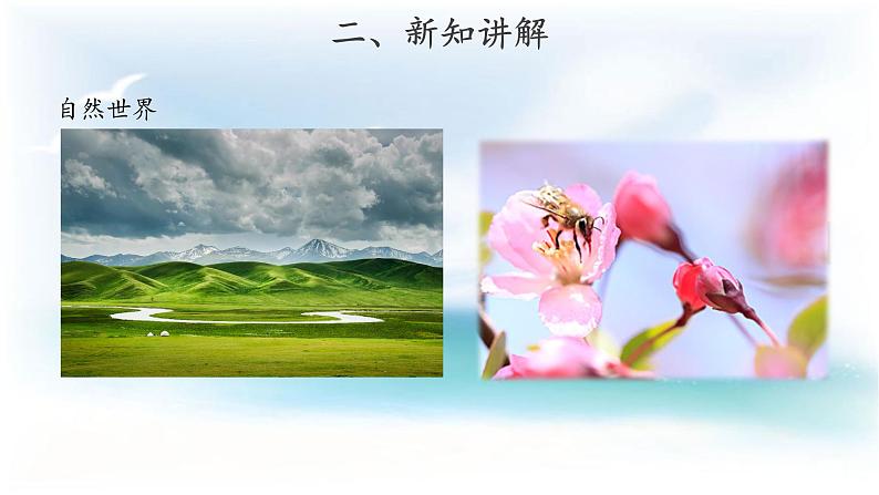 苏教版科学 4.10 自然世界和人工世界 课件PPT+教案+视频06