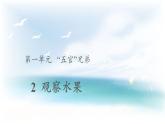 1.2 观察水果 （课件14张PPT+教案+视频）