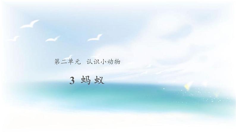 2.3  蚂蚁（ 课件19张PPT+教案+视频）01